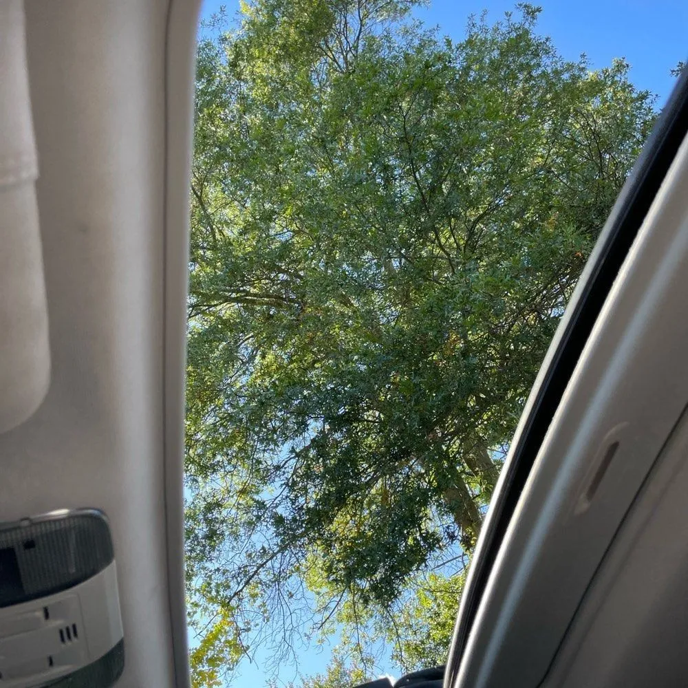 Subaru Outback photo 26