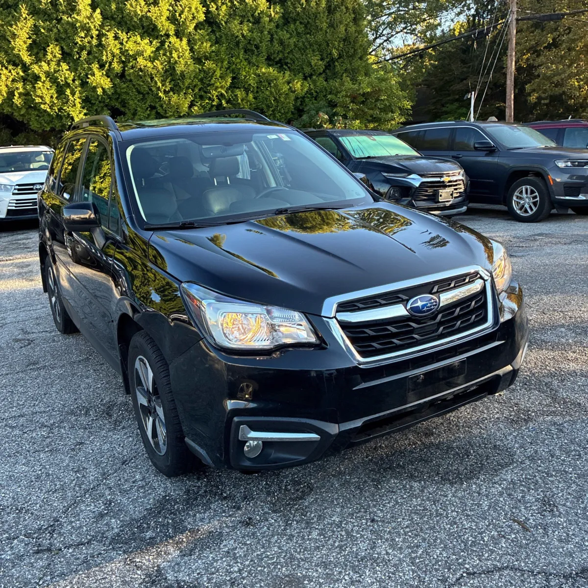 Subaru Forester photo 12