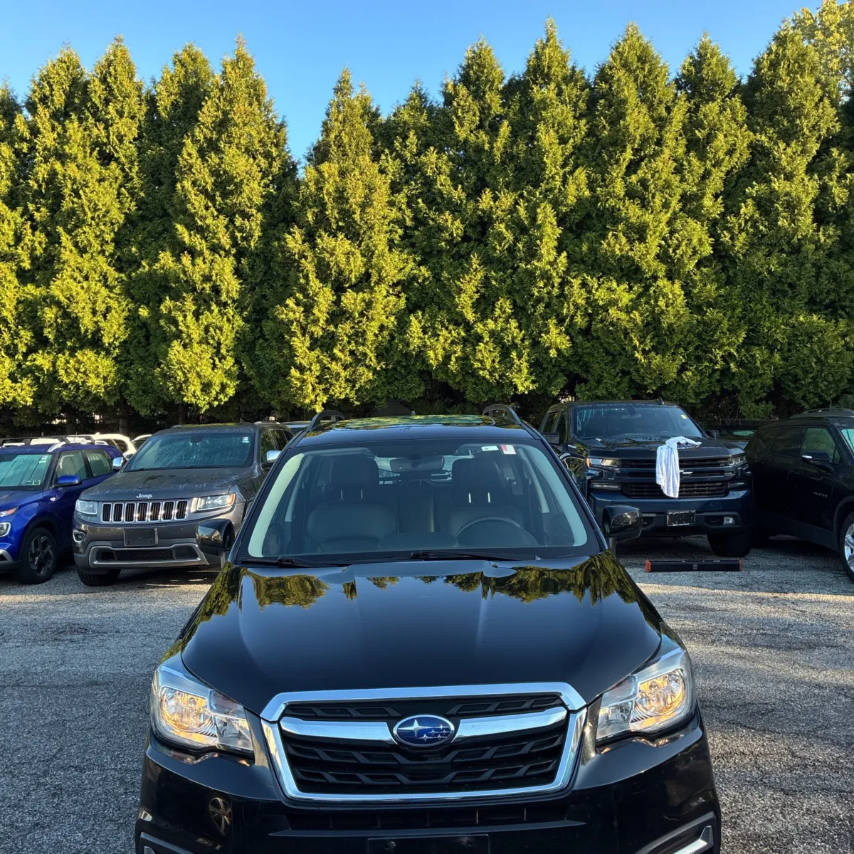 Subaru Forester photo 15