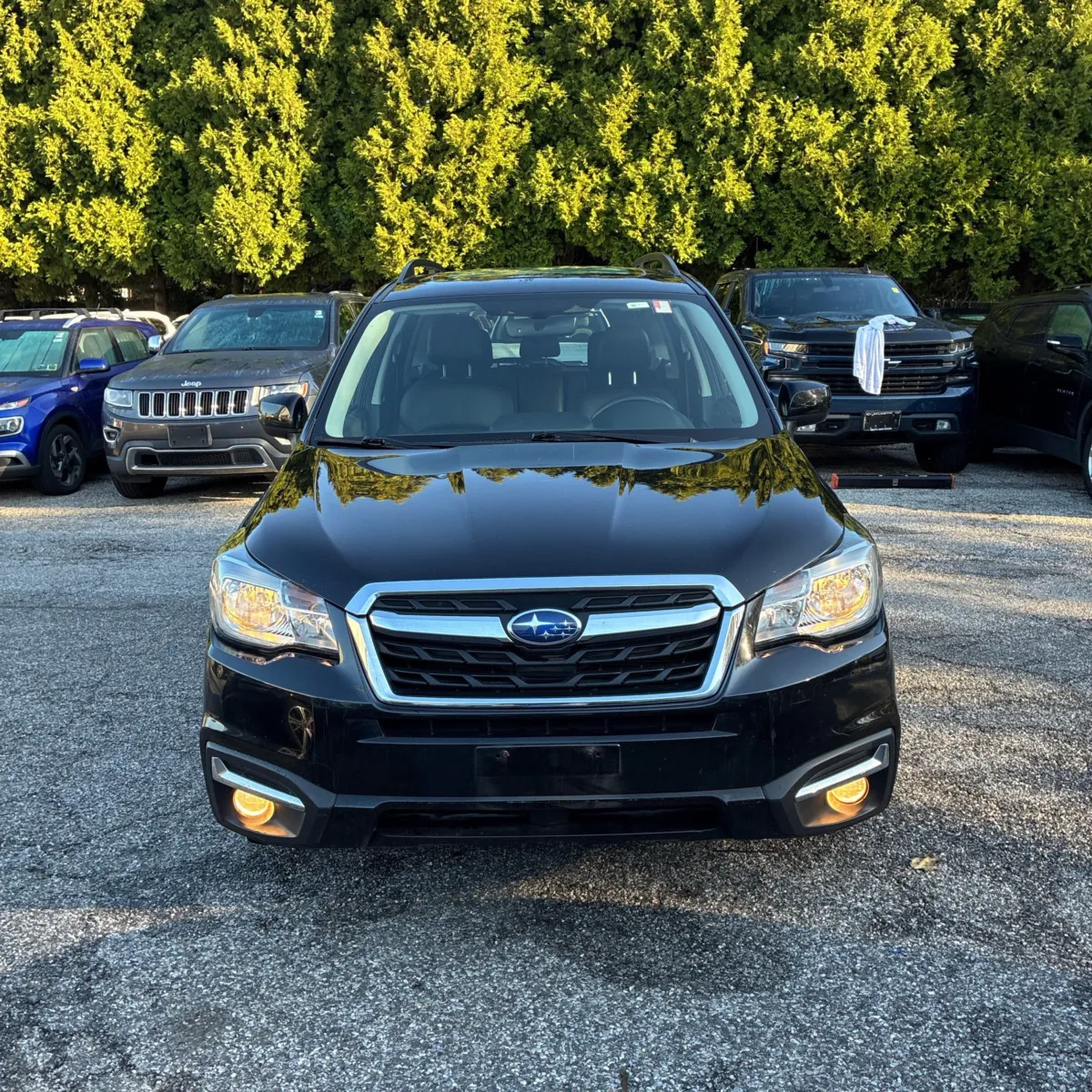 Subaru Forester photo 14