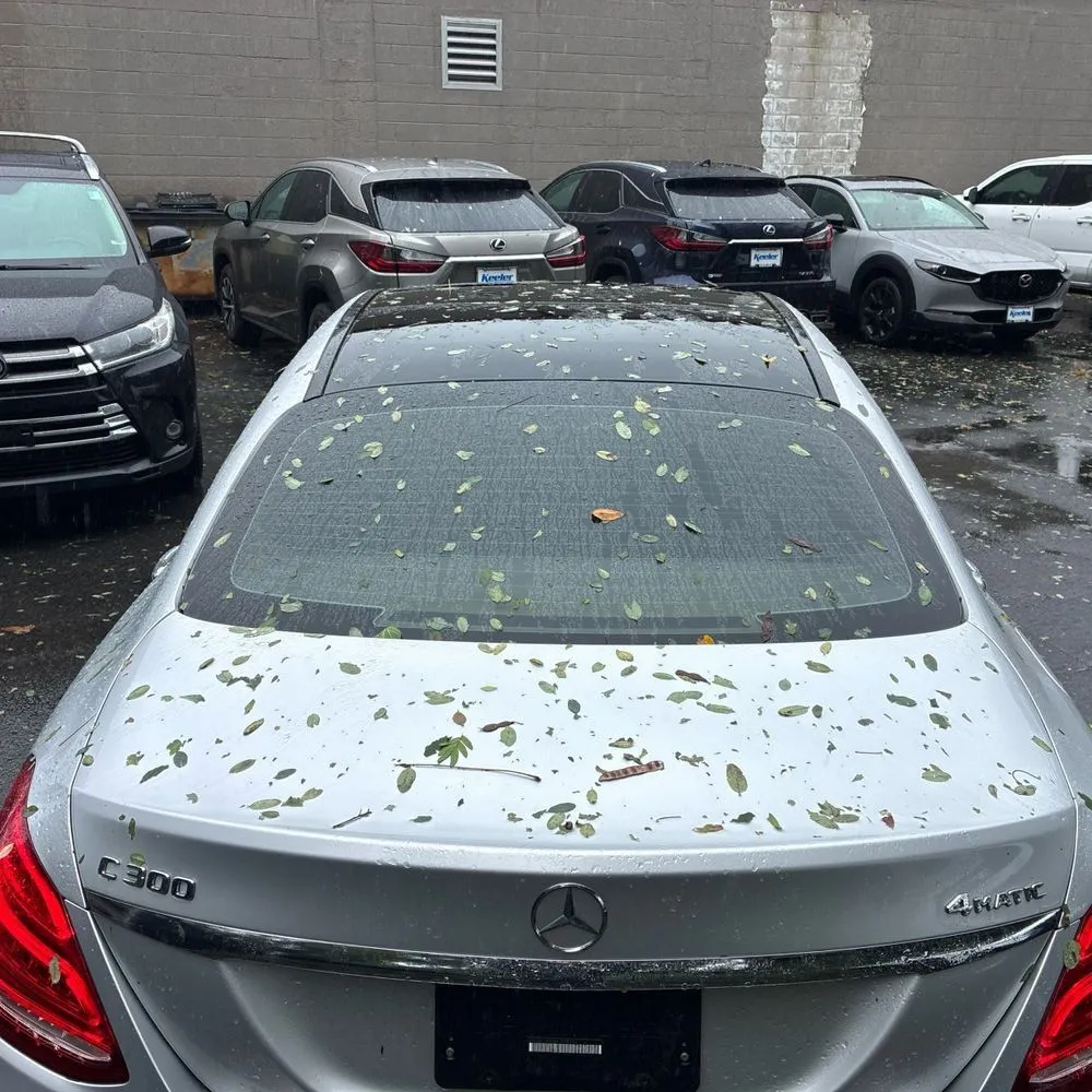 Mercedes-Benz C300 photo 16