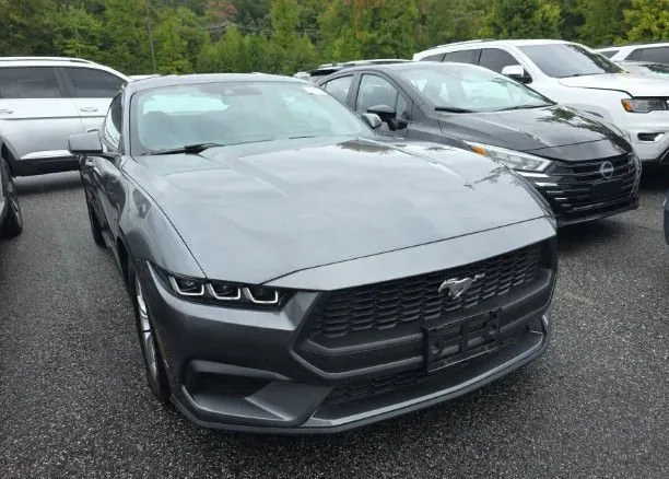 Gray 2024 Ford Mustang EcoBoost for sale in Columbus, OH
