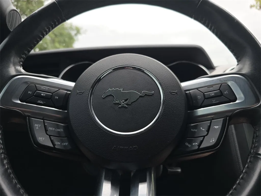 2020 Ford Mustang GT photo 6