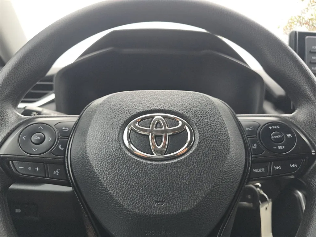 2019 Toyota RAV4 LE photo 5