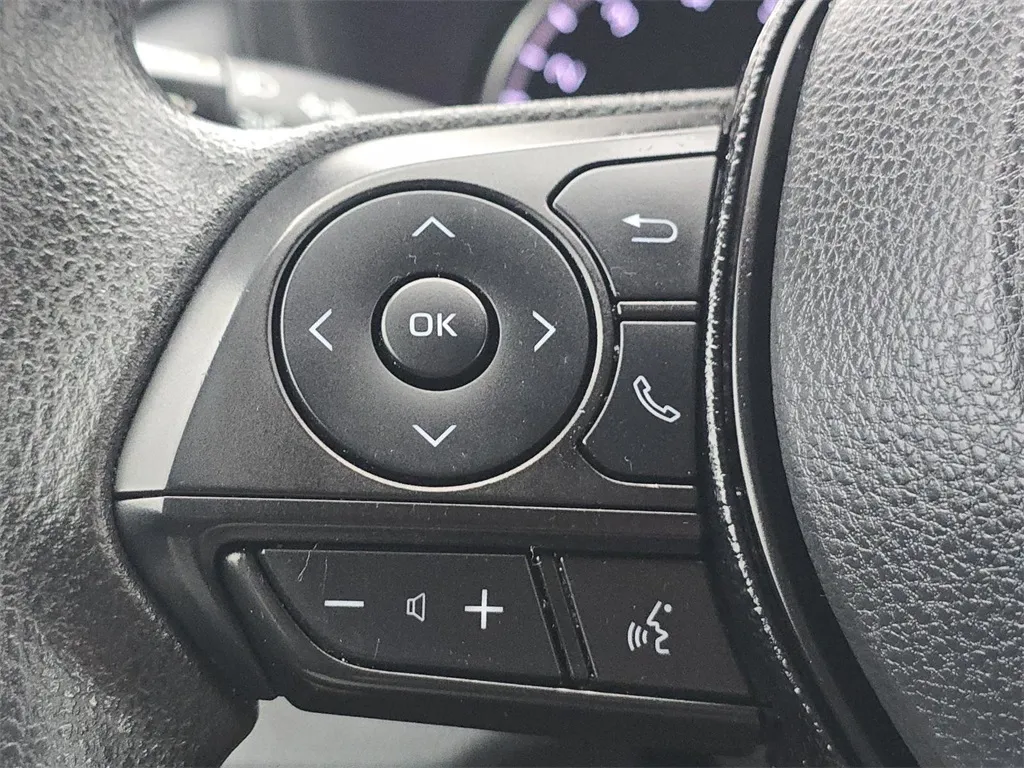 2019 Toyota RAV4 LE photo 25