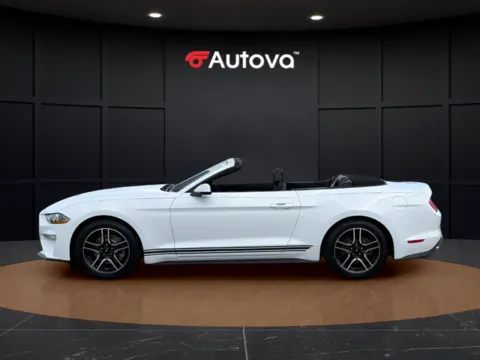 Photos of 2019 Ford Mustang EcoBoost Premium for sale in Madison Heights, VA at Autova