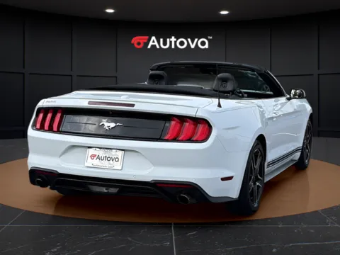 More photos of 2019 Ford Mustang EcoBoost Premium at Autova, VA