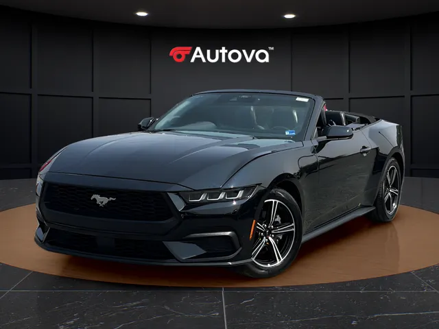 Black 2025 Ford Mustang EcoBoost Premium for sale in Madison Heights, VA