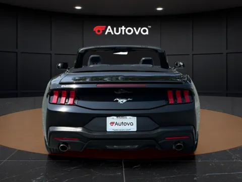 More photos of 2025 Ford Mustang EcoBoost Premium at Autova, VA