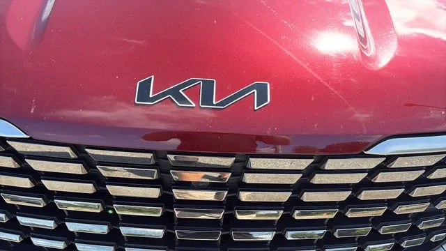 Kia Carnival photo 29