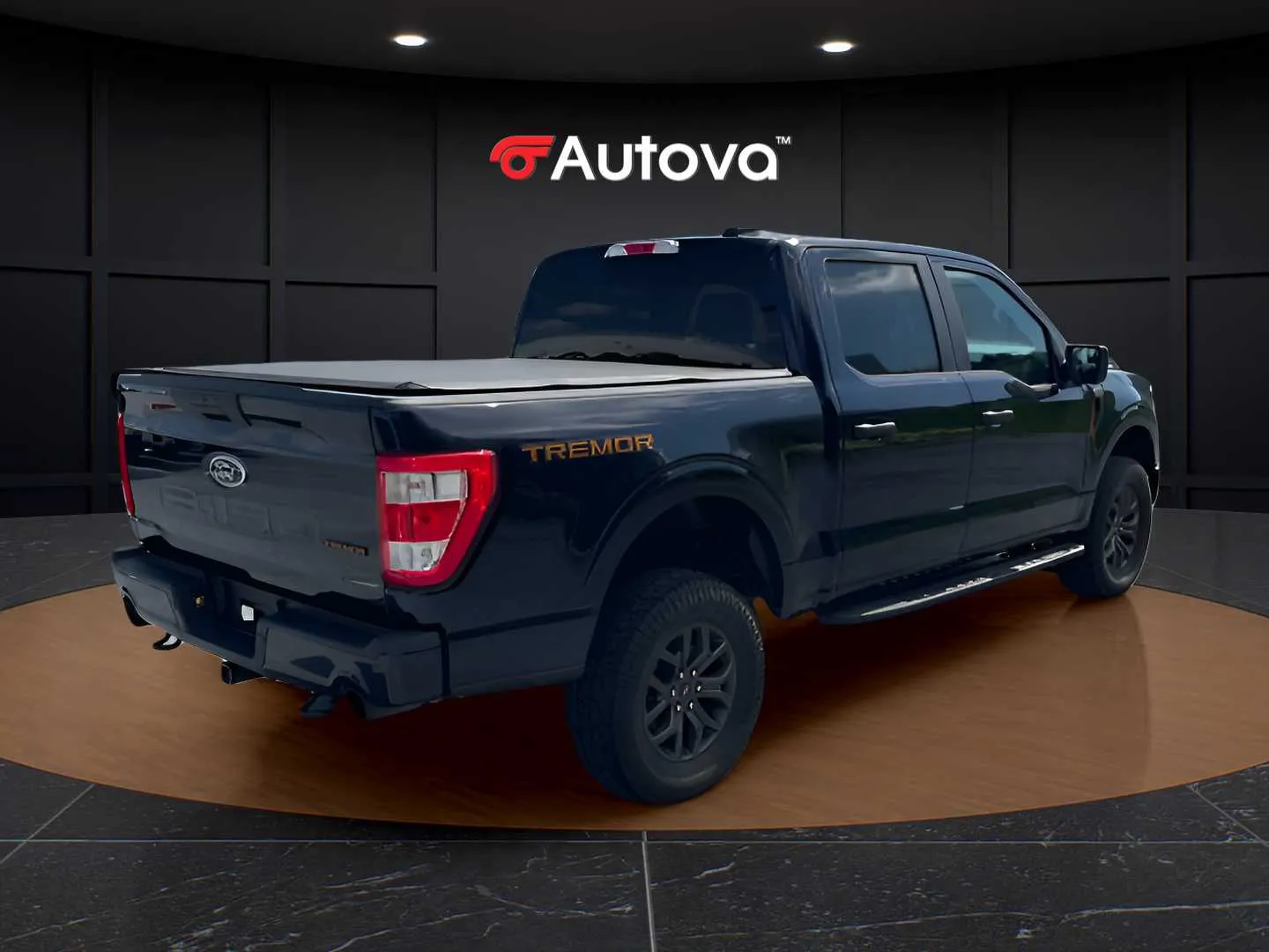 Ford F-150 photo 3