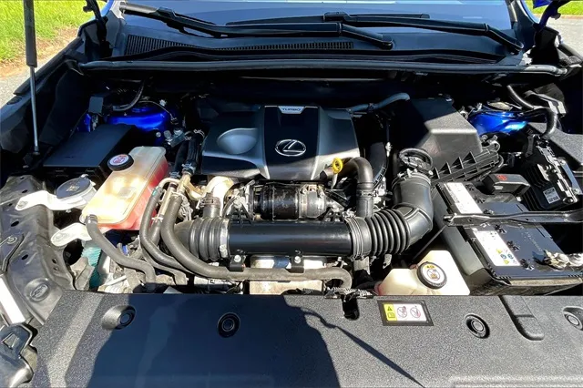 2020 Lexus NX 300 F SPORT photo 3