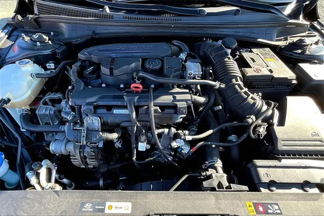 2022 Hyundai Elantra N Line photo 3