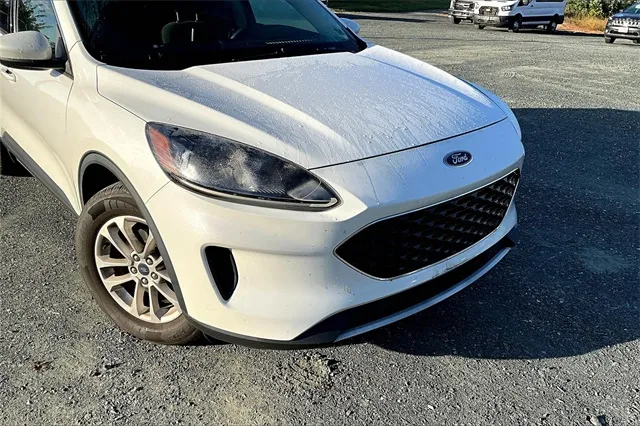 2020 Ford Escape SE photo 2