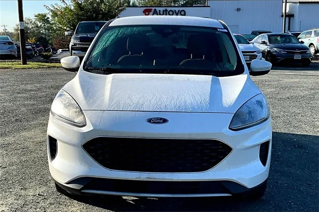 2020 Ford Escape SE photo 3