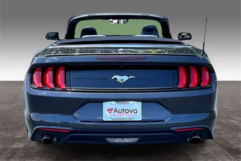 More photos of 2023 Ford Mustang EcoBoost Premium at Autova, VA