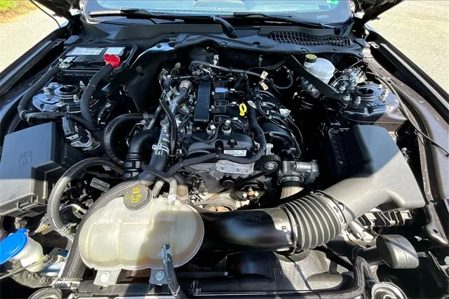 2023 Ford Mustang EcoBoost Premium photo 3