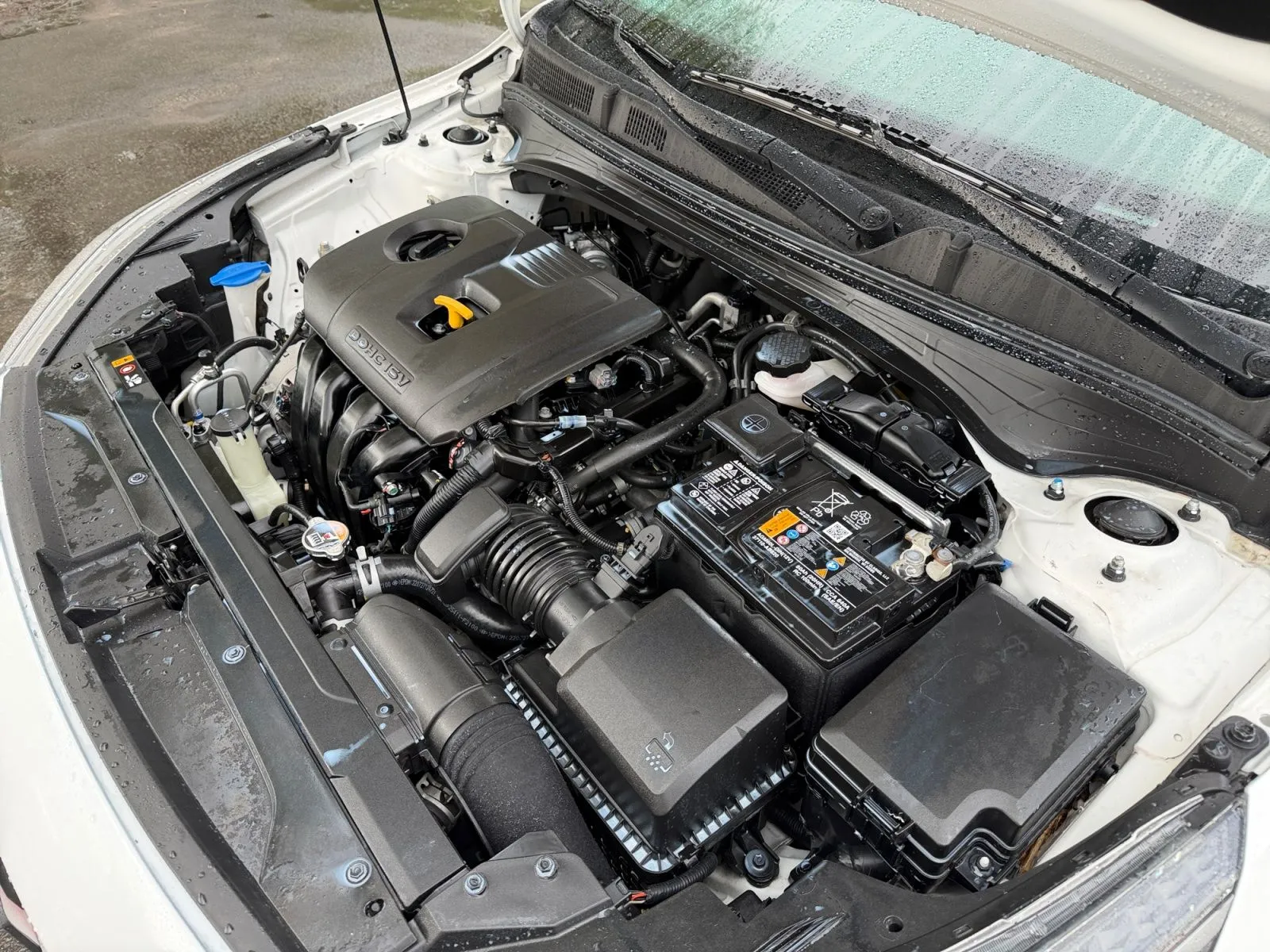 Kia Forte photo 34