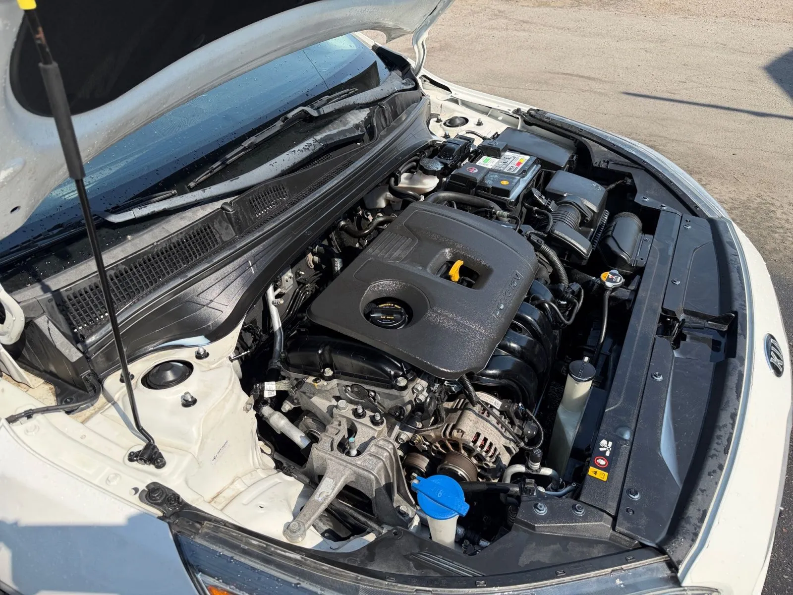 Kia Forte photo 33