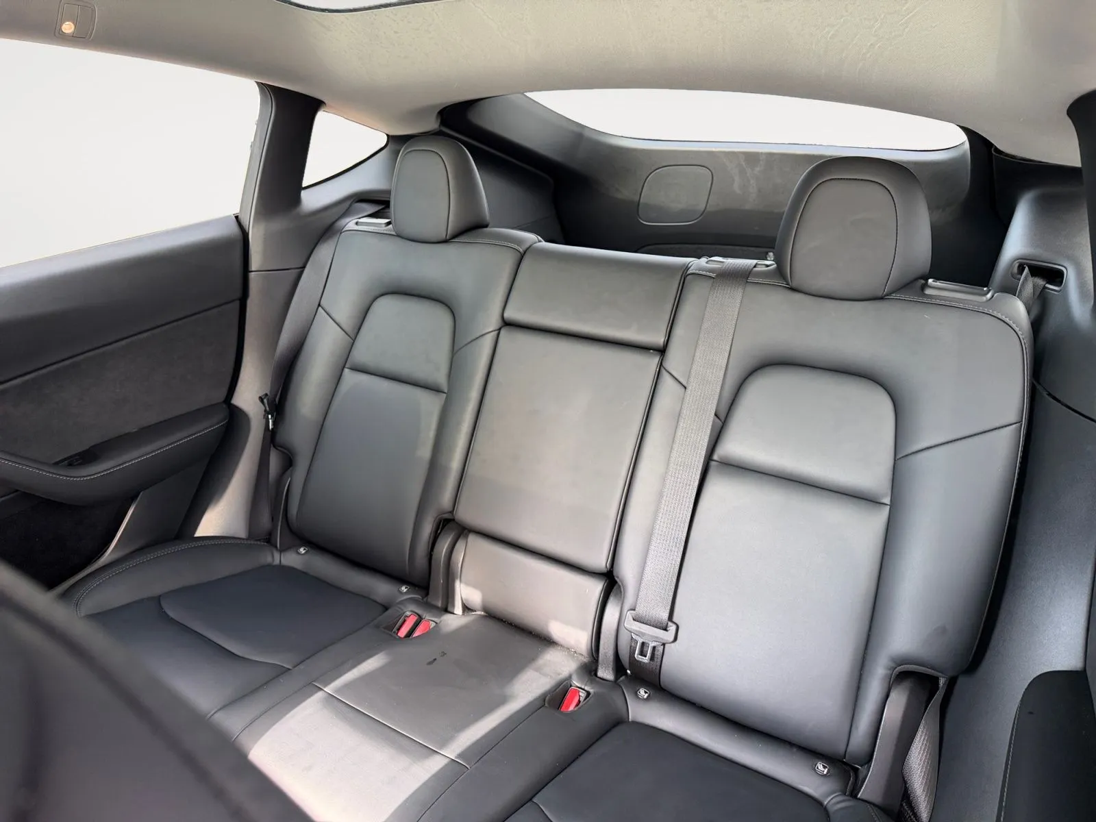 Tesla Model Y photo 13