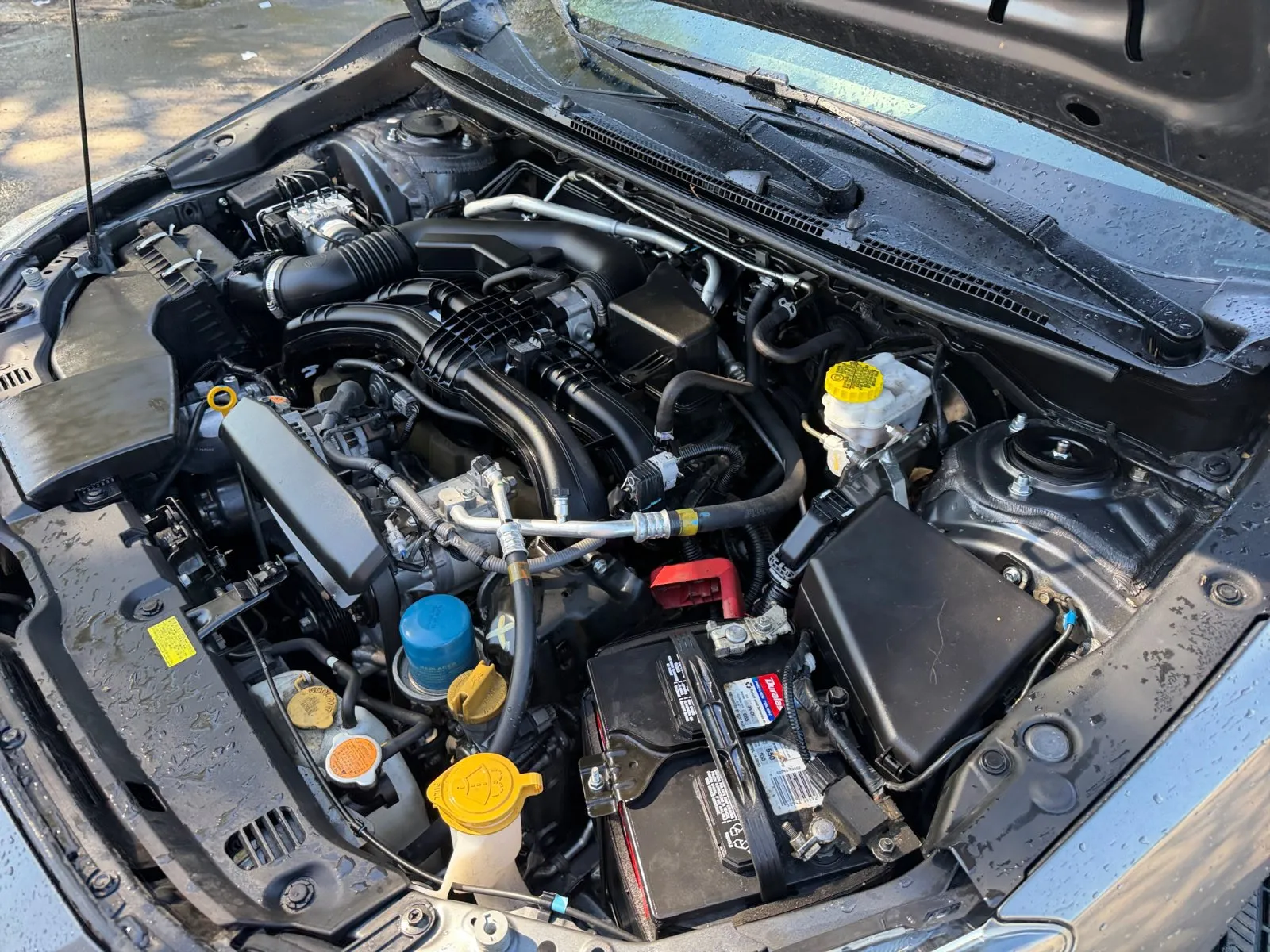 Subaru Impreza photo 36