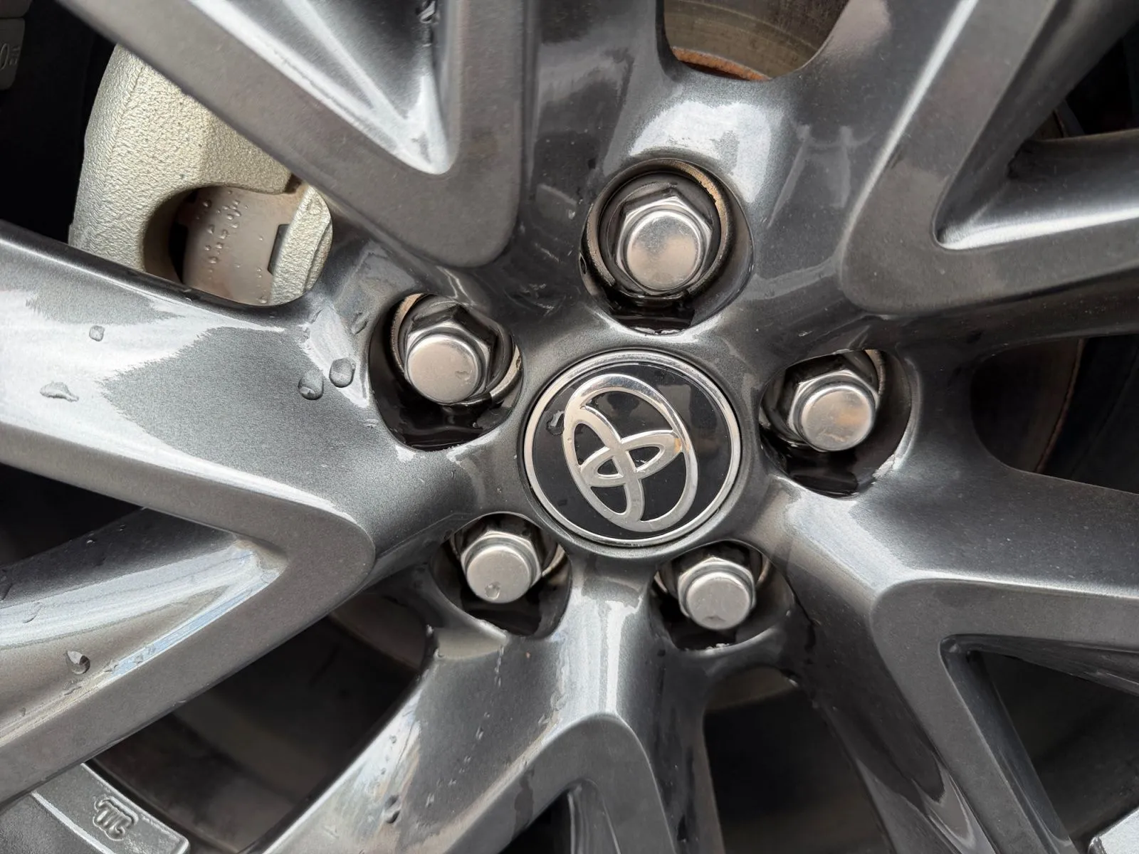 Toyota Corolla photo 31
