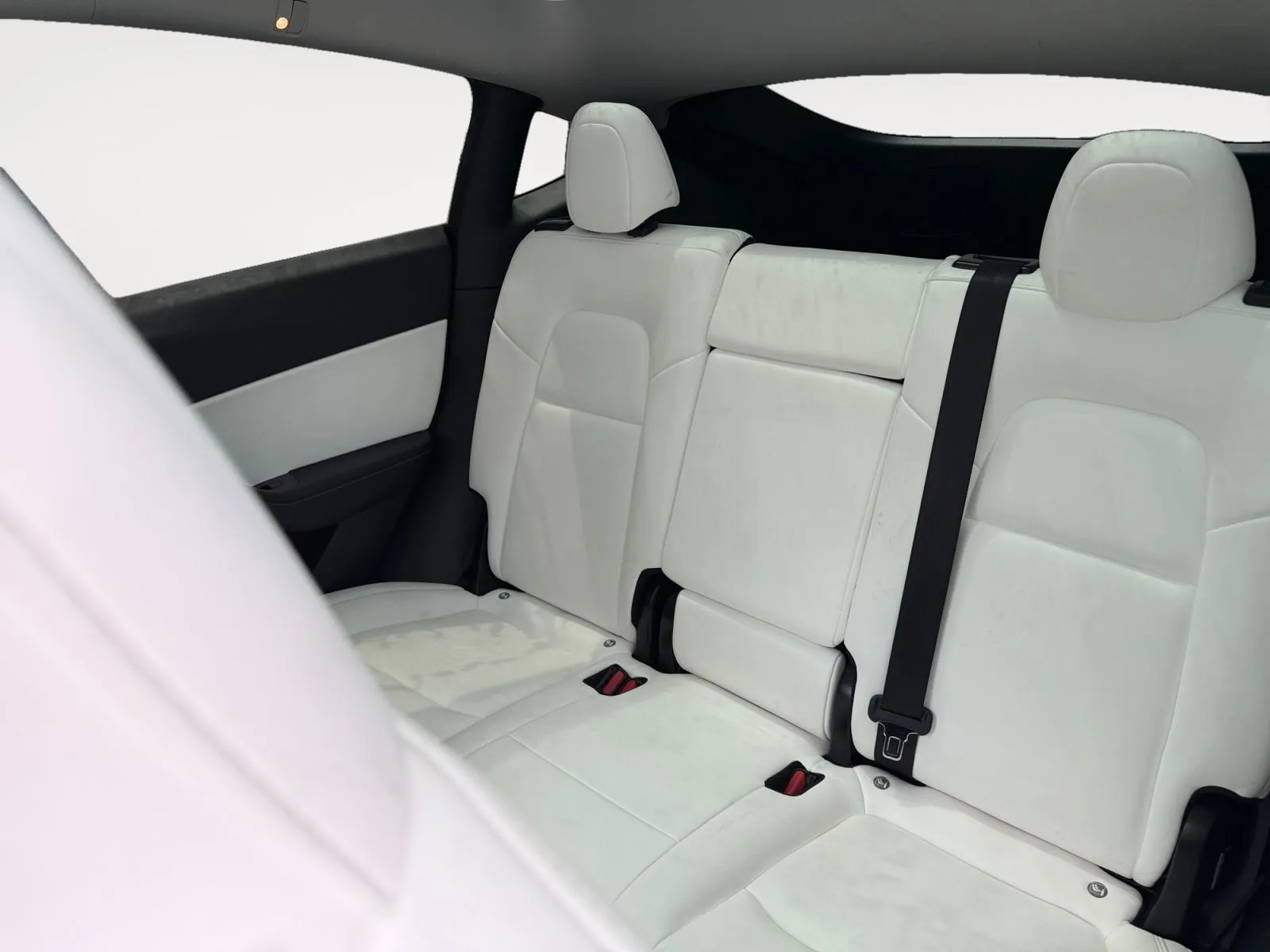 Tesla Model Y photo 13