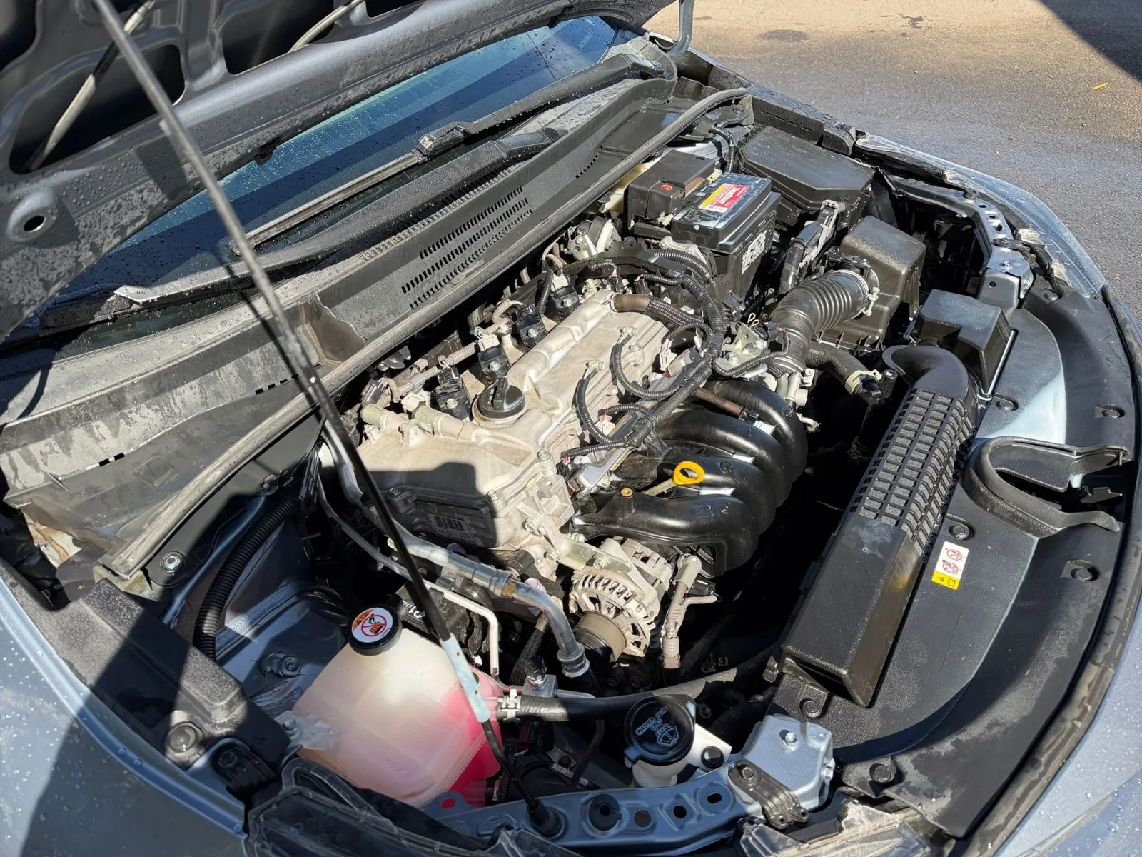 Toyota Corolla photo 32