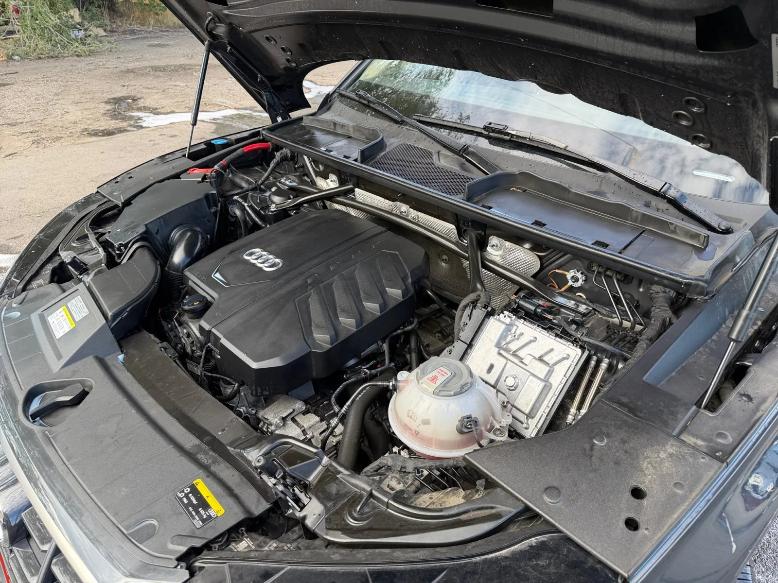Audi Q5 photo 37