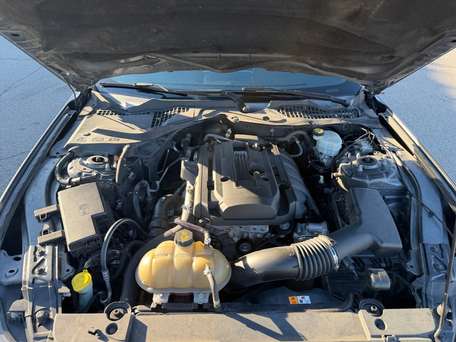 Ford Mustang photo 33