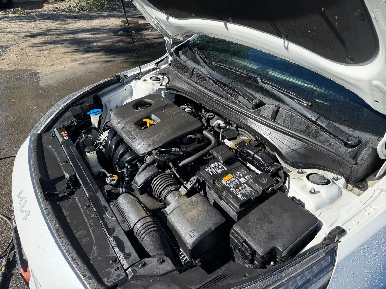 Kia Forte photo 37