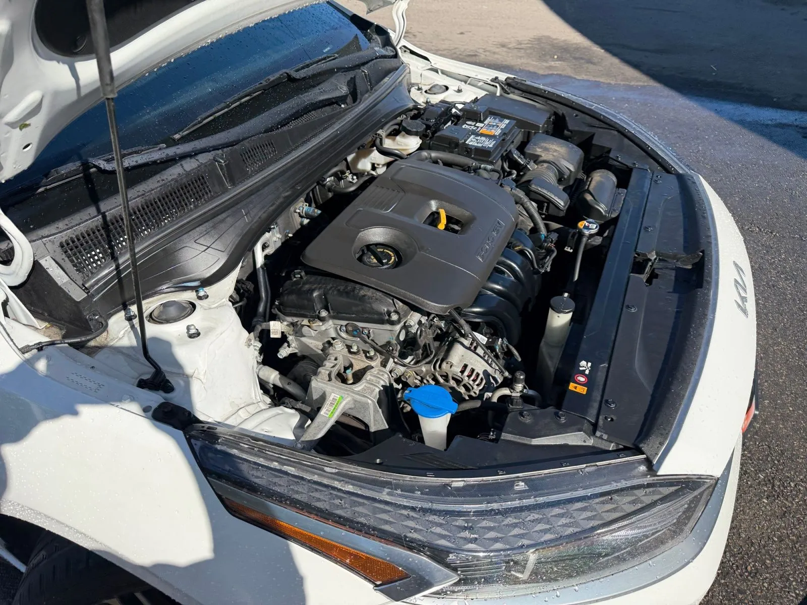 Kia Forte photo 35