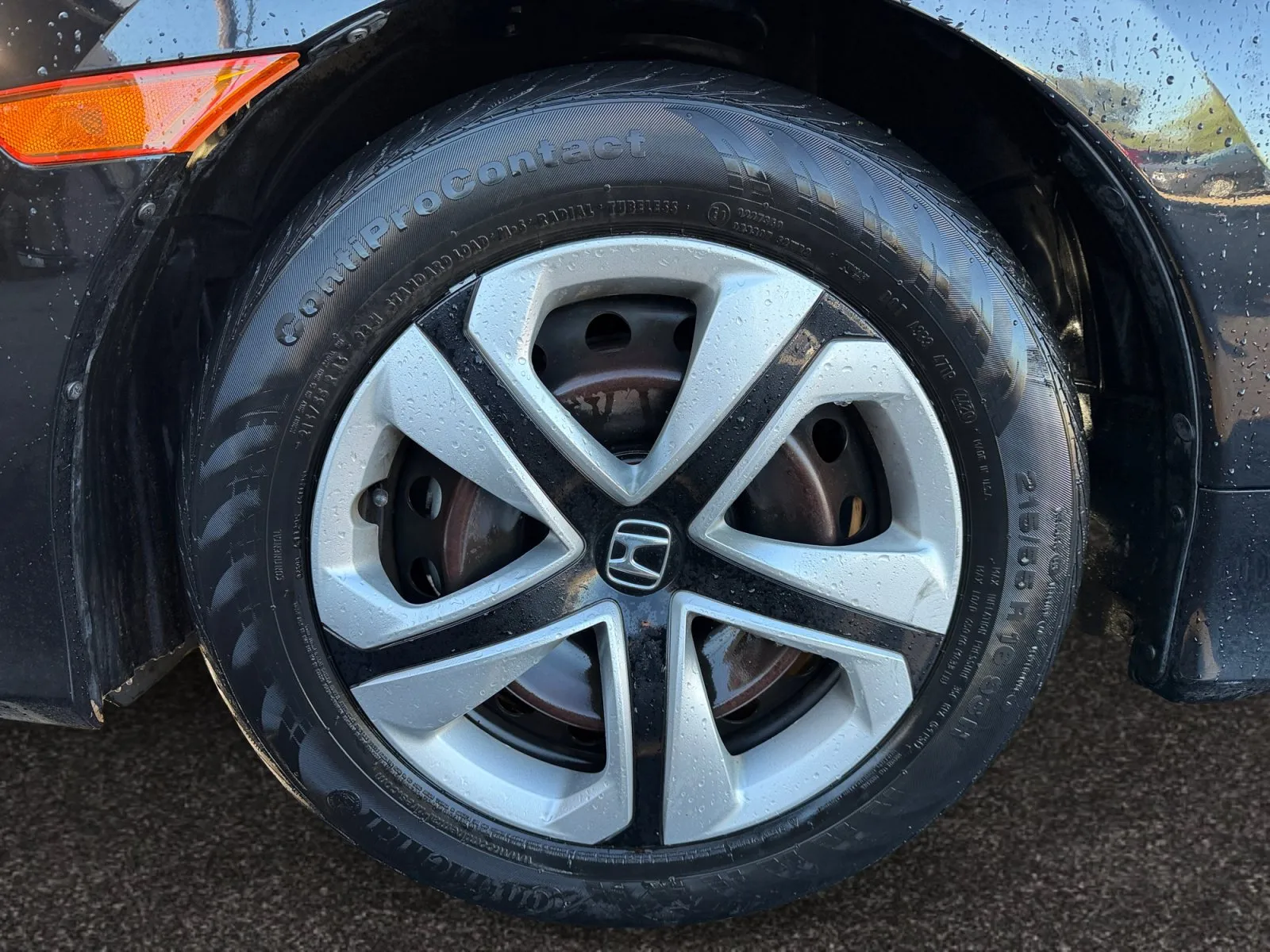 Honda Civic photo 14