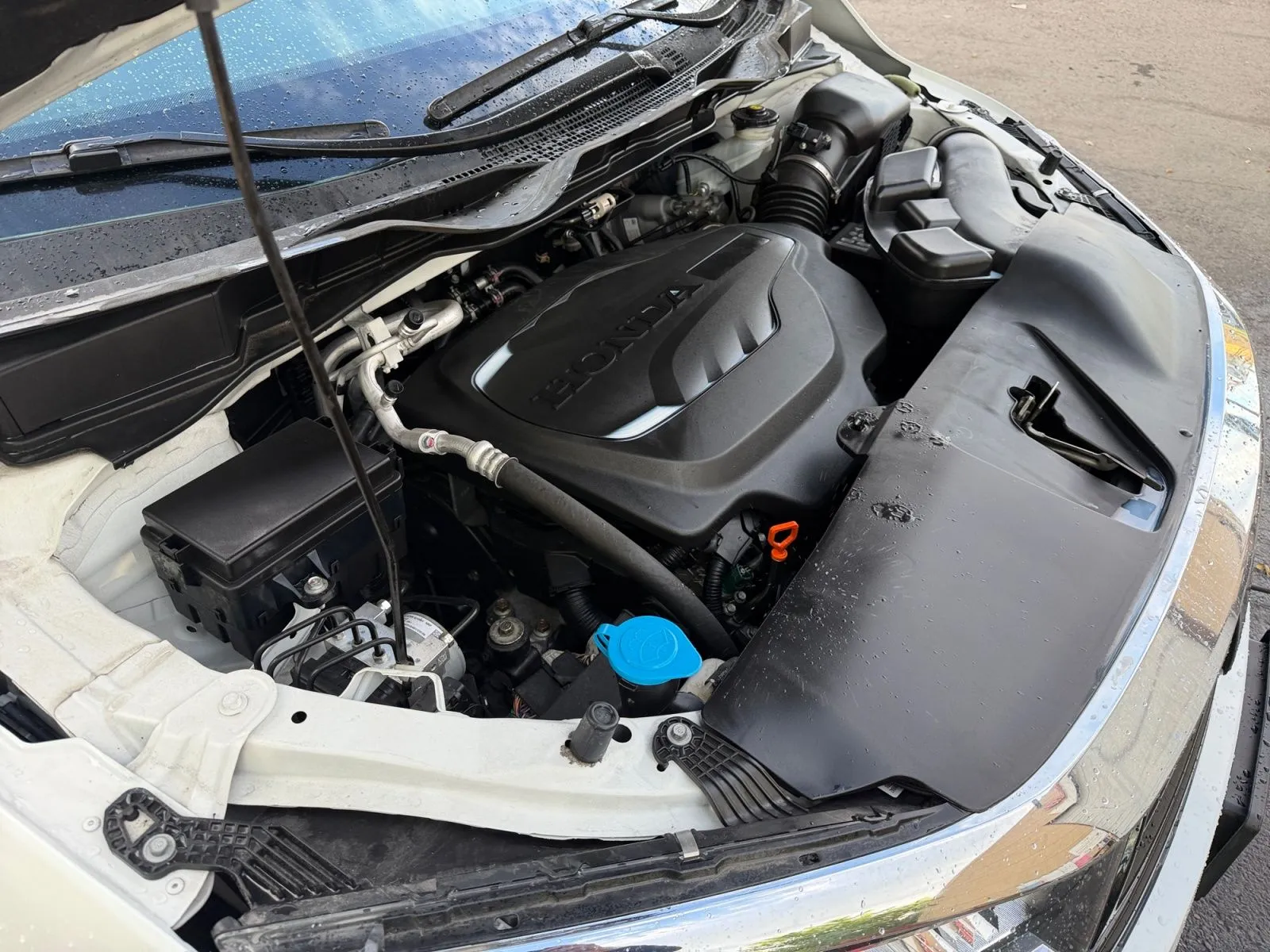Honda Odyssey photo 38