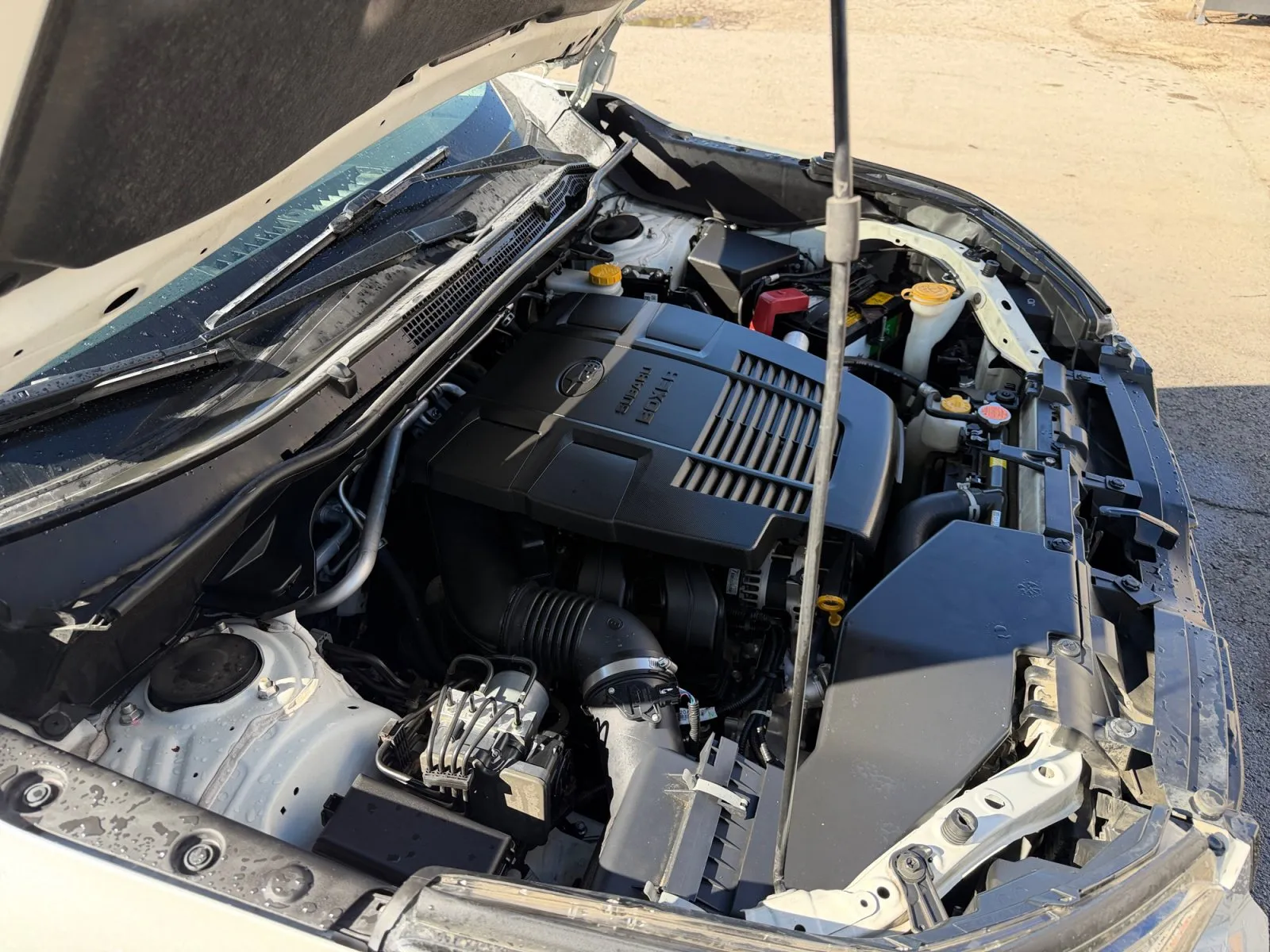 Subaru Forester photo 36