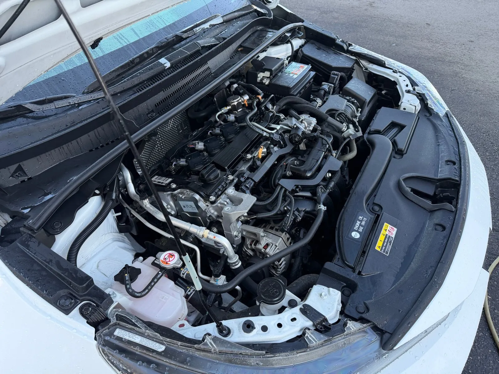 Toyota Corolla photo 35