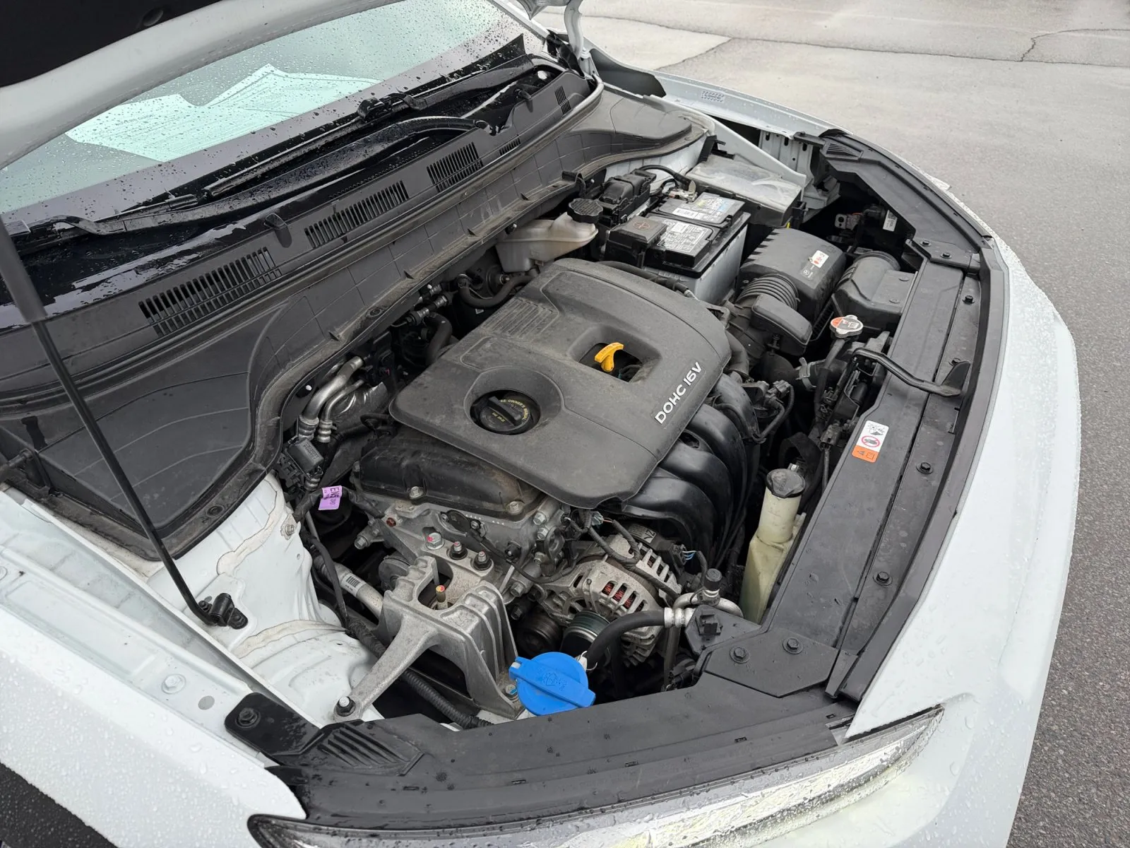 Hyundai Kona photo 33