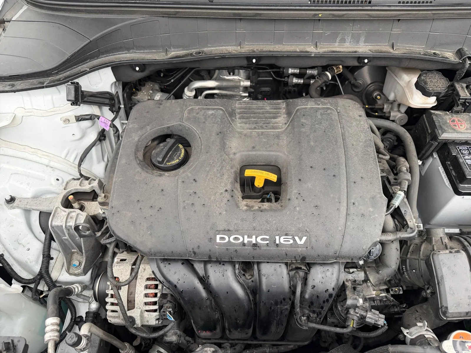Hyundai Kona photo 36