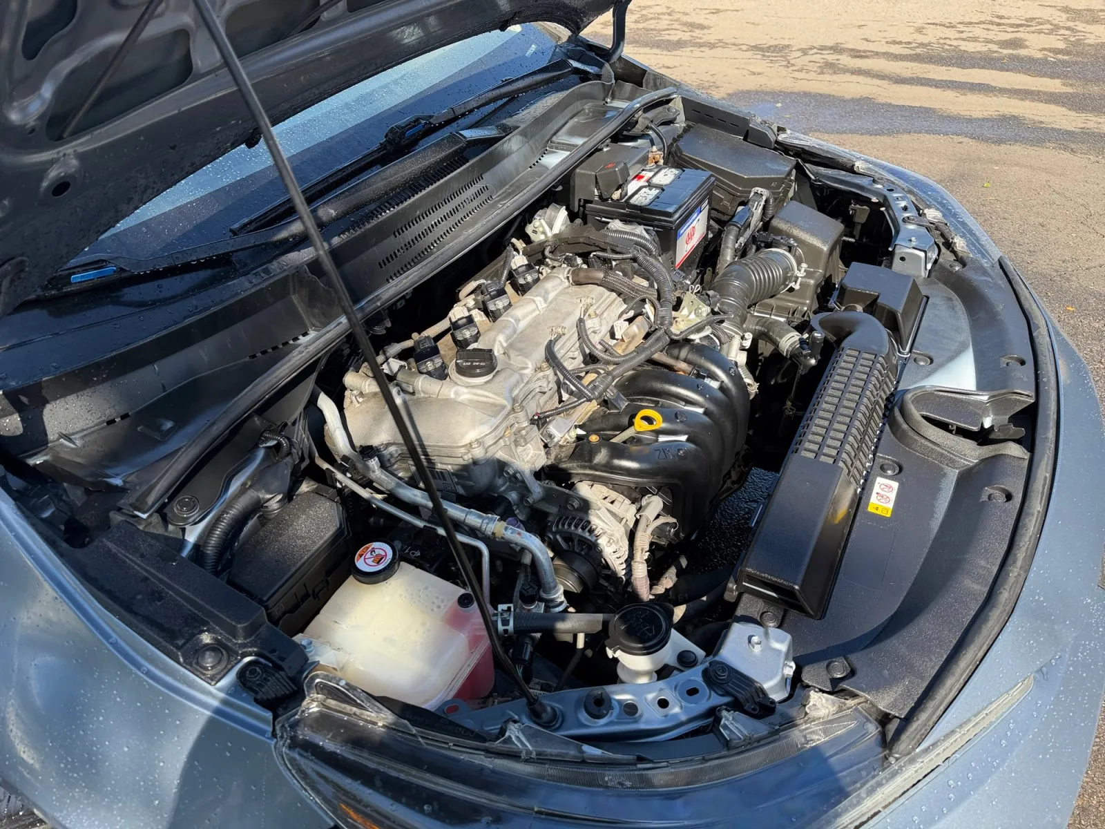 Toyota Corolla photo 32