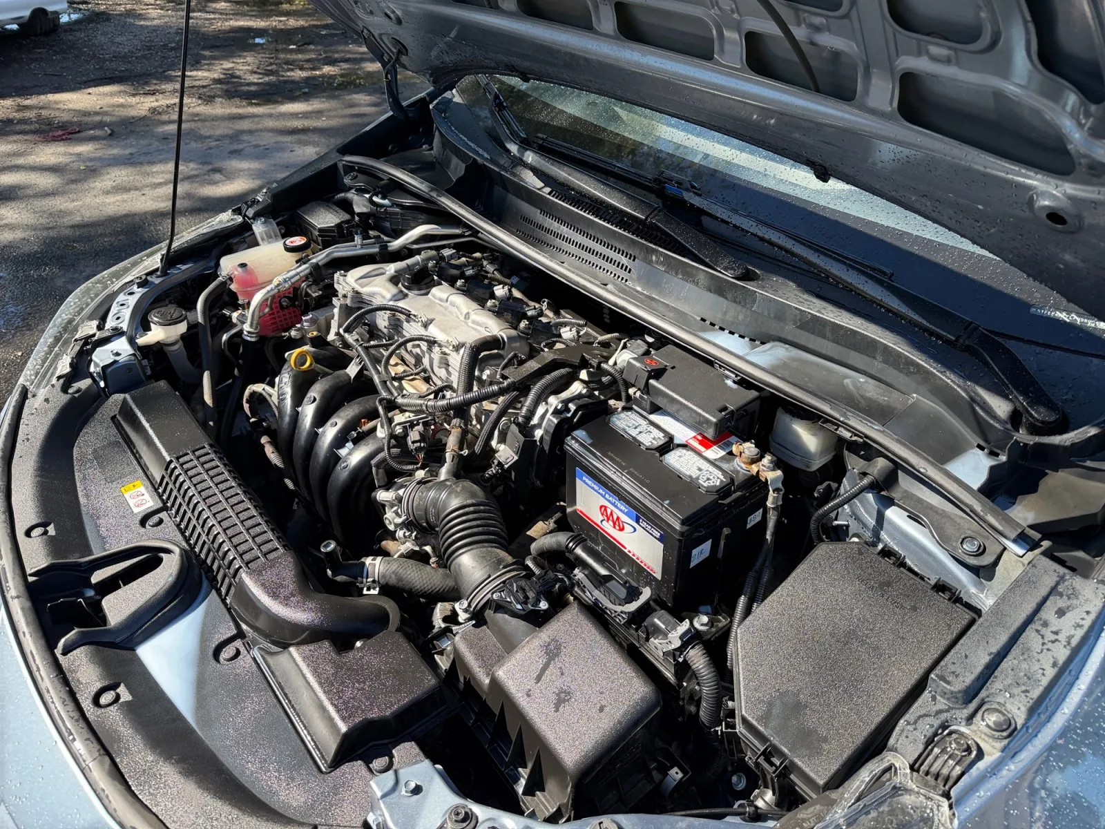 Toyota Corolla photo 34