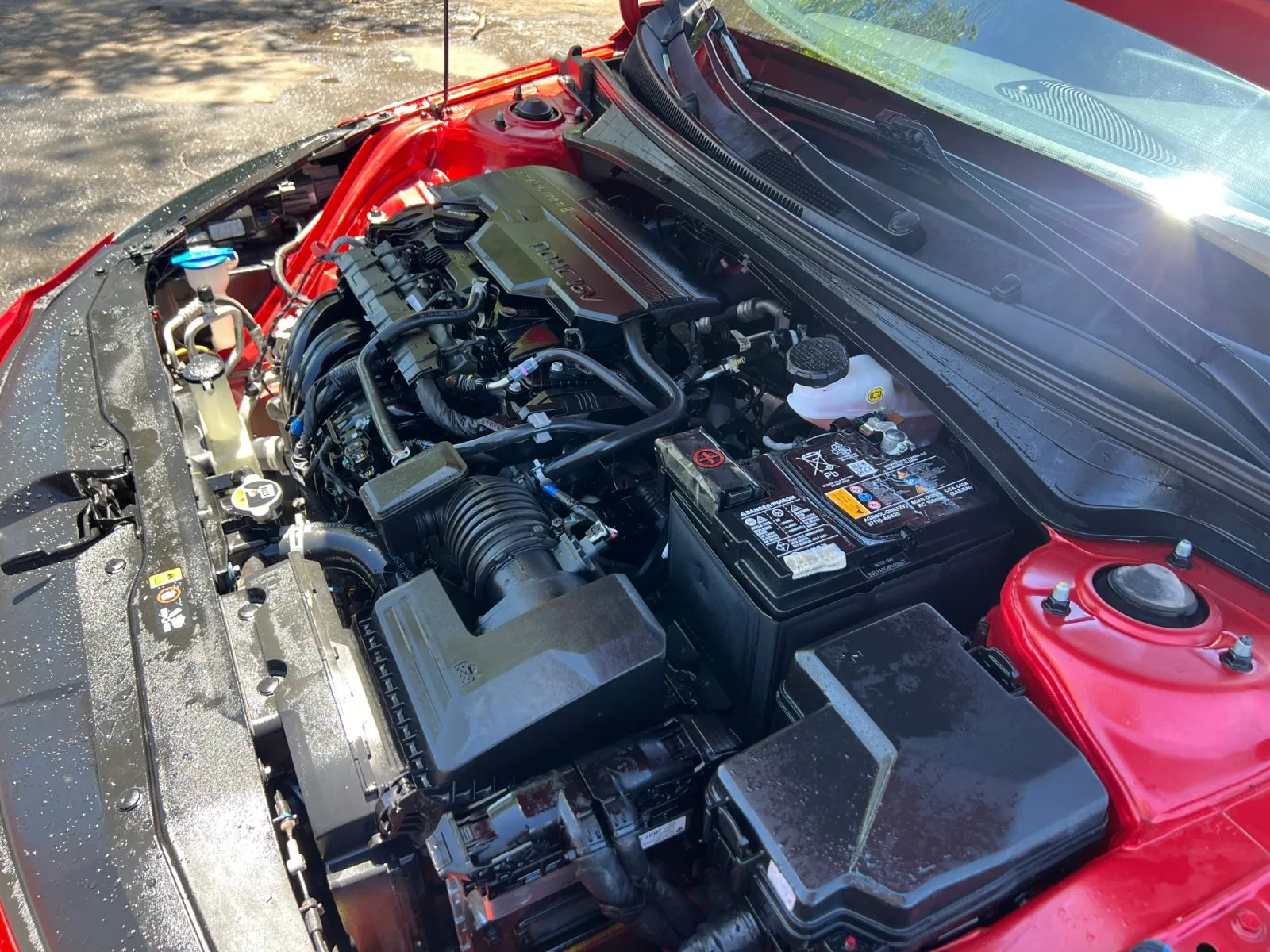 Hyundai Elantra photo 37
