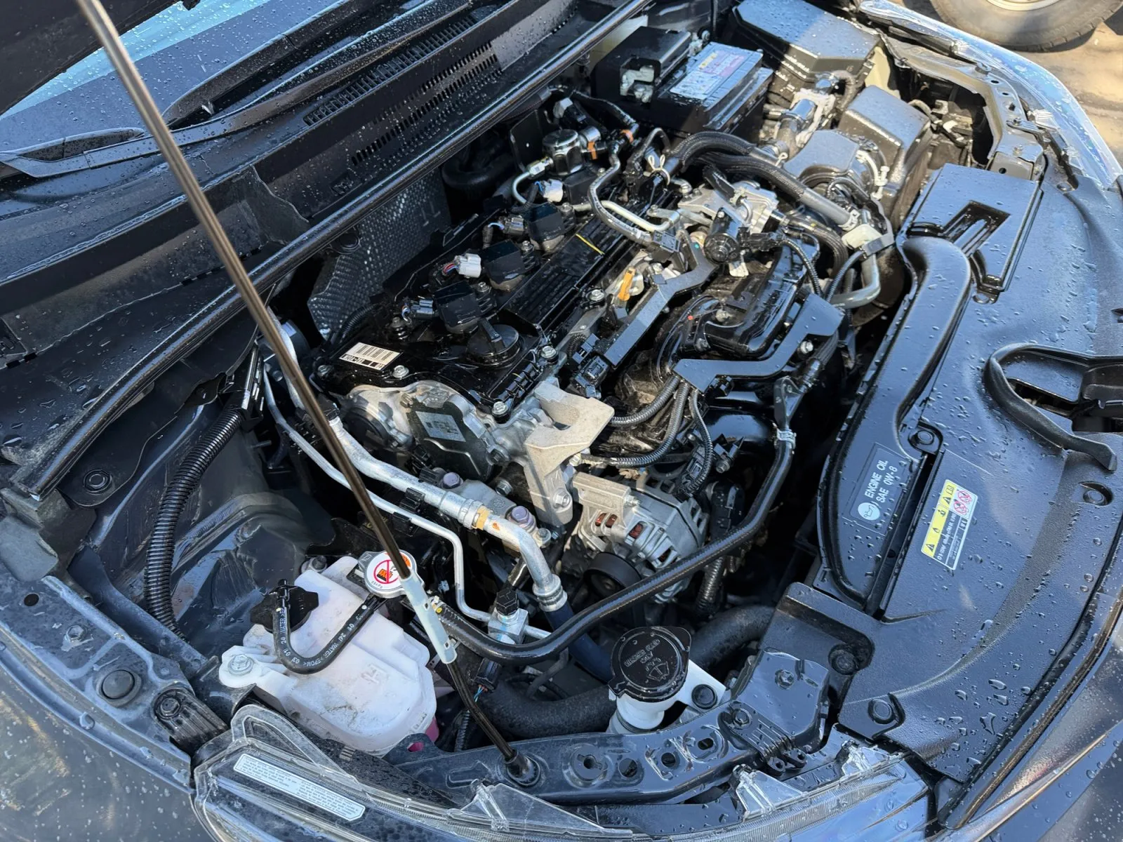 Toyota Corolla photo 31