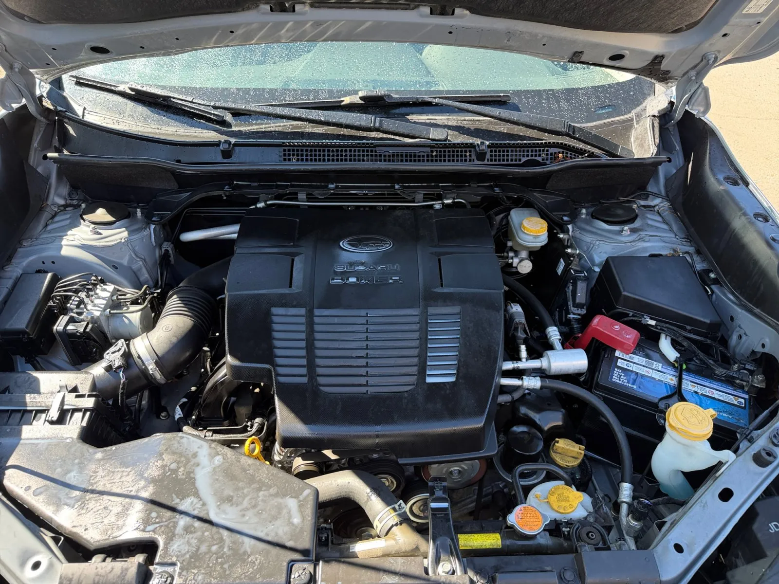 Subaru Forester photo 35