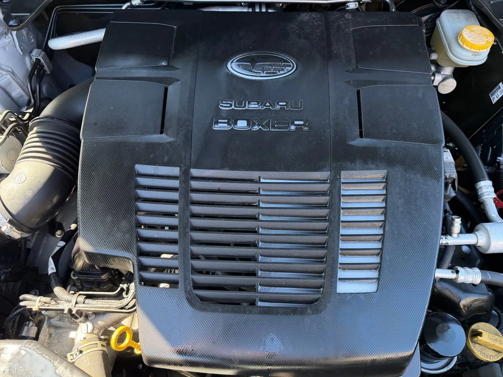 Subaru Forester photo 37