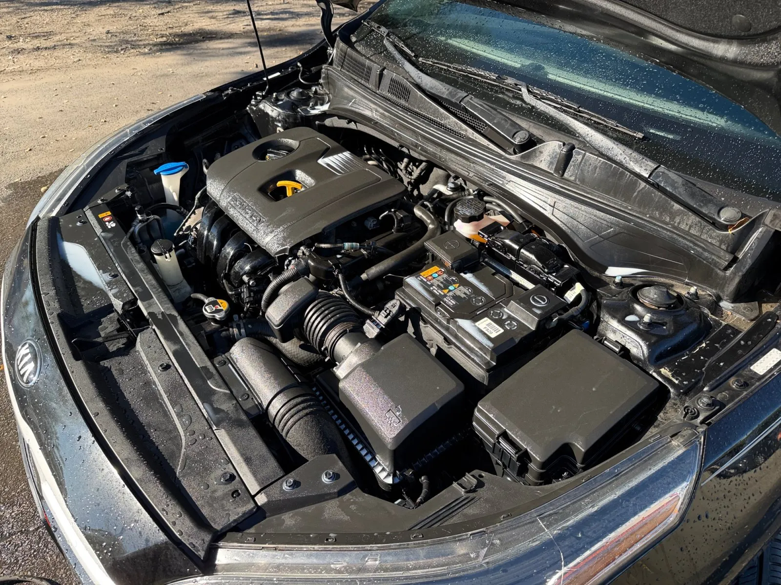 Kia Forte photo 36