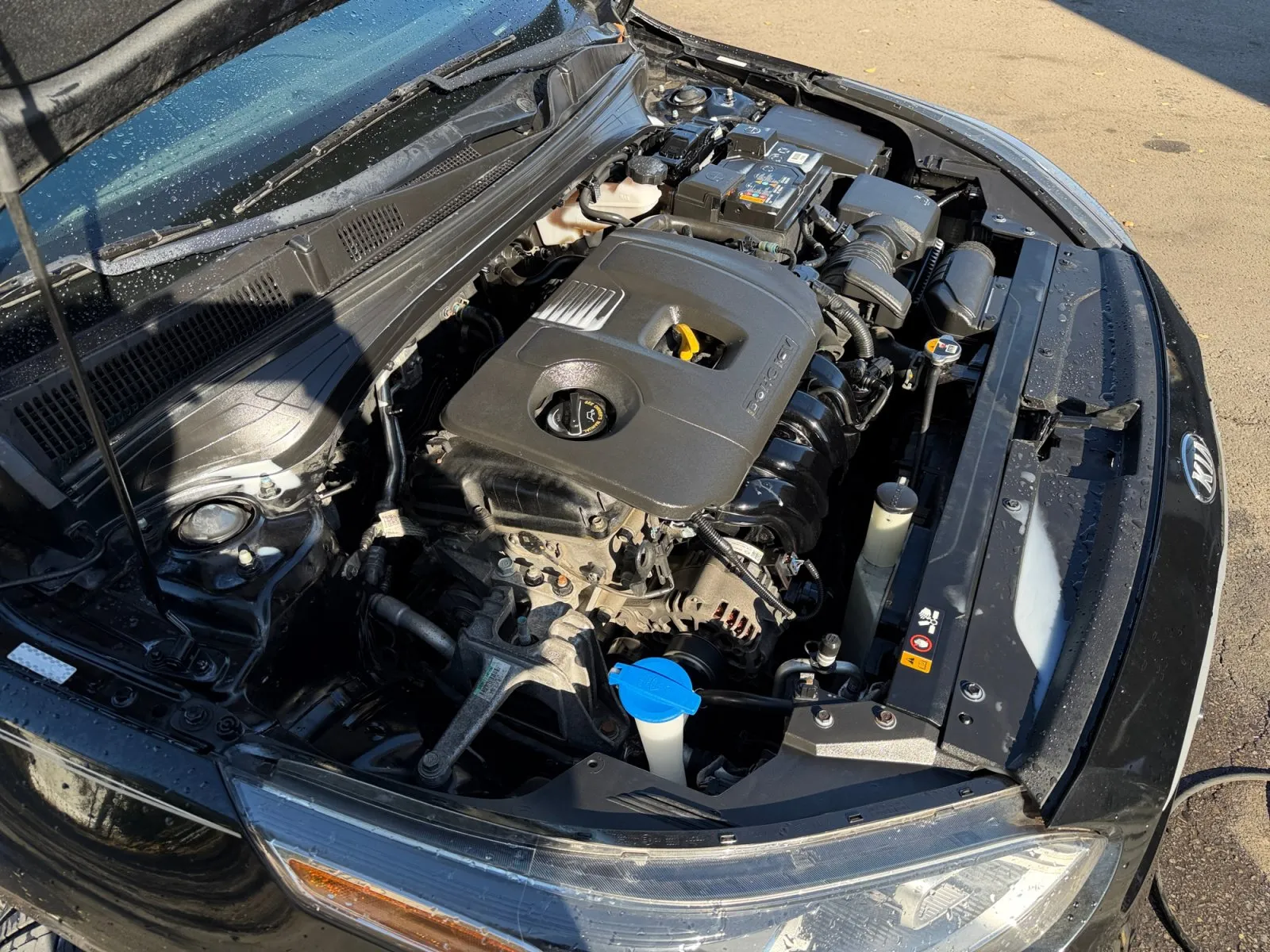 Kia Forte photo 34