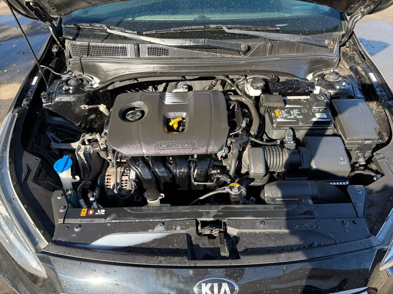 Kia Forte photo 35