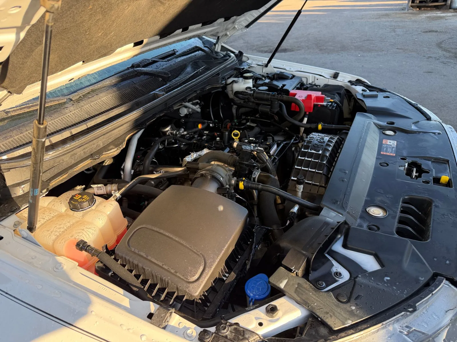 Ford Ranger photo 34