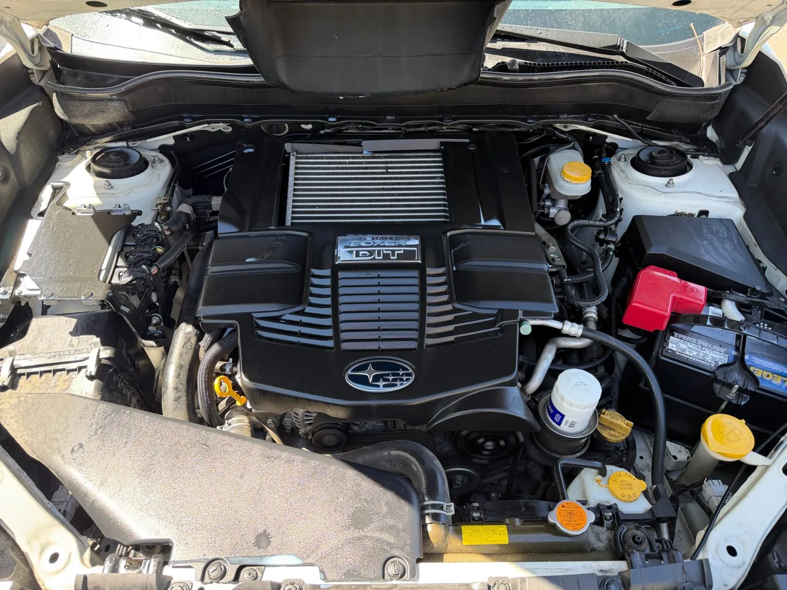 Subaru Forester photo 35