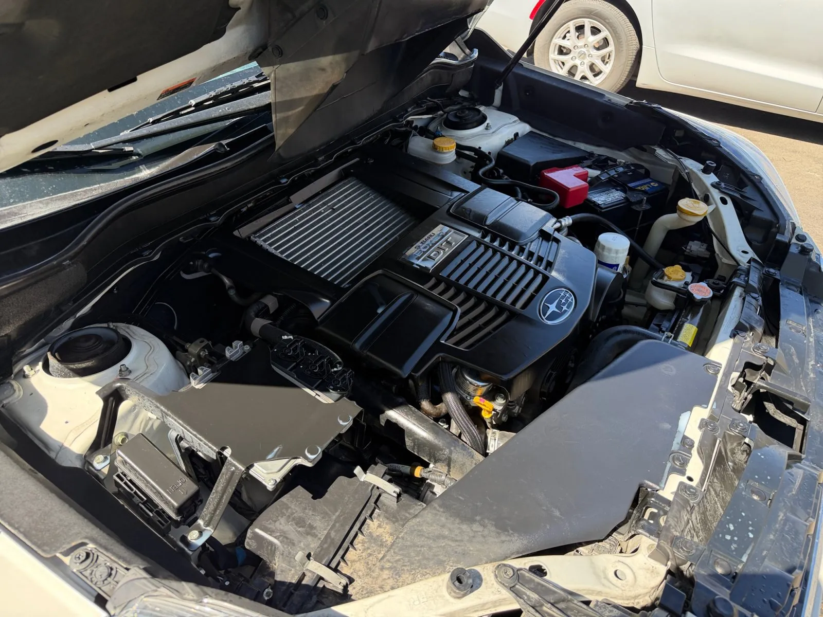 Subaru Forester photo 34